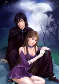 政治婚姻與羅曼蒂克